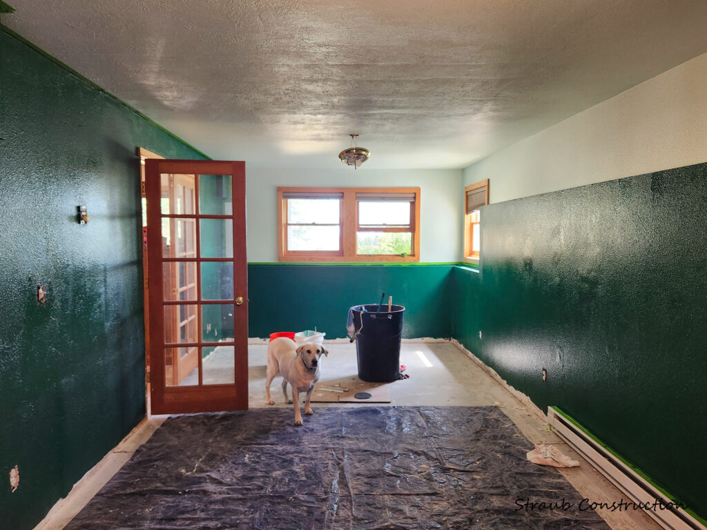 Room being repainted in two-tone forest green with drop cloths down and a friendly yellow Lab on site