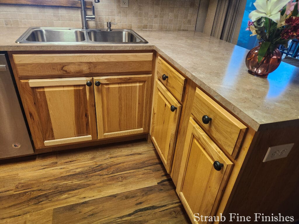 New Countertops, Backsplash, Flooring, & Cabinets!