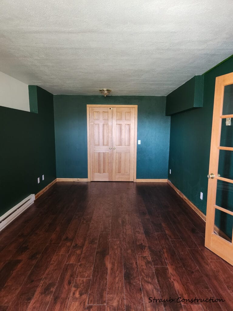 Finished room with teal walls, dark hardwood floors, and a white double closet by Straub Fine Finishes